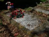 image of grave number 305376